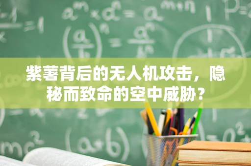 紫薯背后的无人机攻击，隐秘而致命的空中威胁？