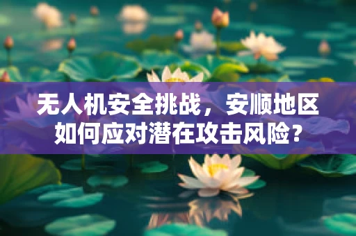 无人机安全挑战，安顺地区如何应对潜在攻击风险？