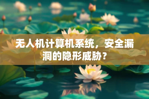 无人机计算机系统，安全漏洞的隐形威胁？