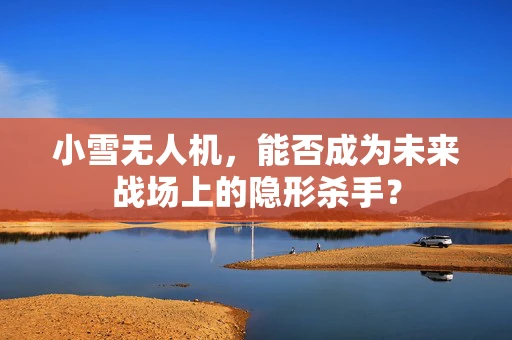 小雪无人机，能否成为未来战场上的隐形杀手？