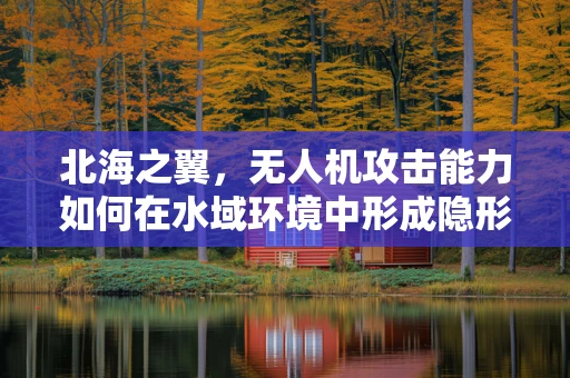 北海之翼，无人机攻击能力如何在水域环境中形成隐形威胁？