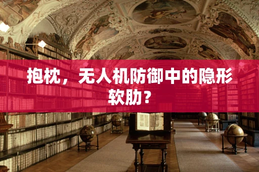 抱枕，无人机防御中的隐形软肋？