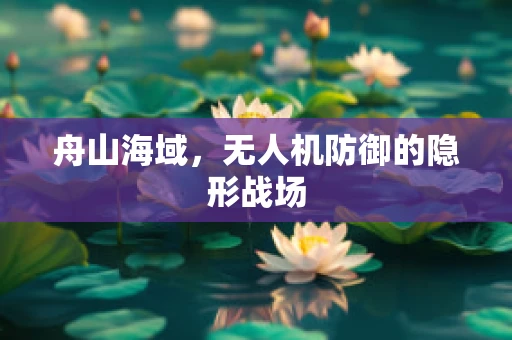 舟山海域，无人机防御的隐形战场