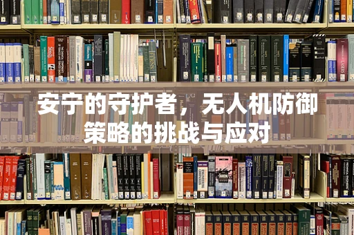 安宁的守护者，无人机防御策略的挑战与应对