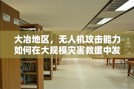大冶地区，无人机攻击能力如何在大规模灾害救援中发挥关键作用？
