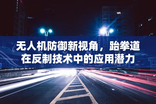 无人机防御新视角，跆拳道在反制技术中的应用潜力