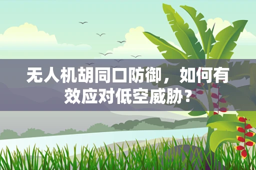 无人机胡同口防御，如何有效应对低空威胁？