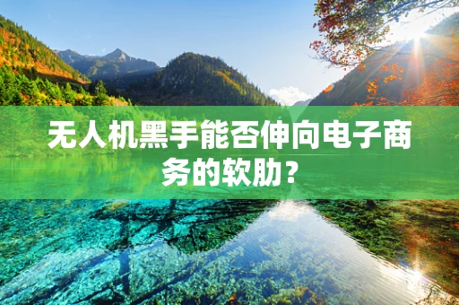 无人机黑手能否伸向电子商务的软肋？