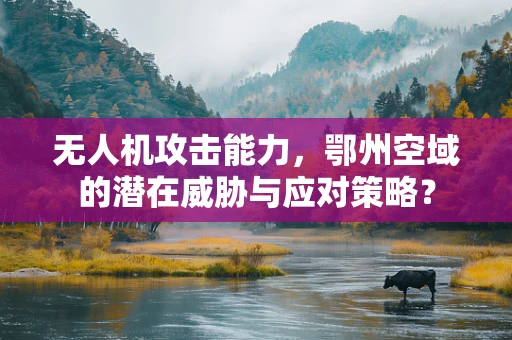 无人机攻击能力，鄂州空域的潜在威胁与应对策略？