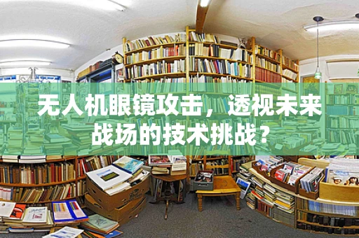 无人机眼镜攻击，透视未来战场的技术挑战？