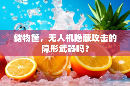 储物筐，无人机隐蔽攻击的隐形武器吗？