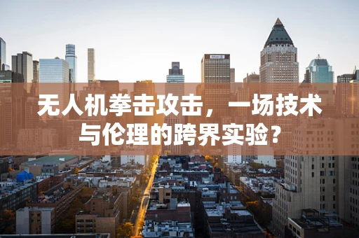 无人机拳击攻击，一场技术与伦理的跨界实验？