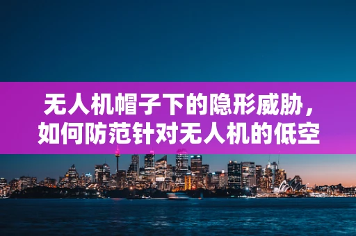 无人机帽子下的隐形威胁，如何防范针对无人机的低空伪装攻击？