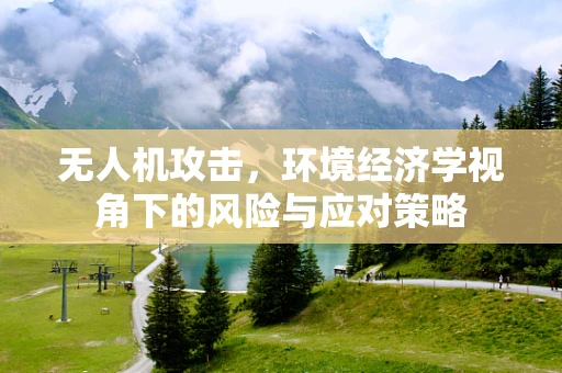 无人机攻击，环境经济学视角下的风险与应对策略
