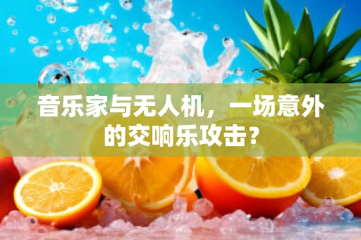 音乐家与无人机，一场意外的交响乐攻击？