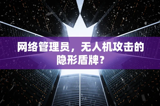 网络管理员，无人机攻击的隐形盾牌？