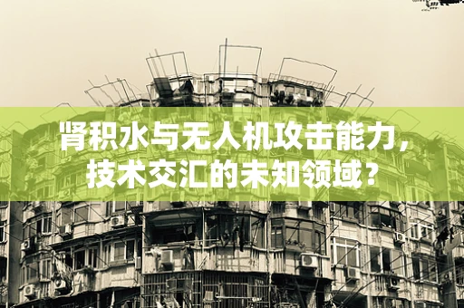 肾积水与无人机攻击能力，技术交汇的未知领域？