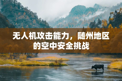 无人机攻击能力，随州地区的空中安全挑战