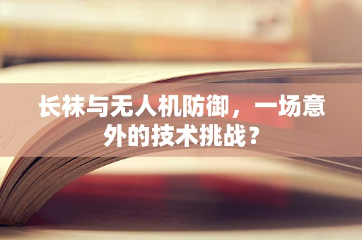 长袜与无人机防御，一场意外的技术挑战？