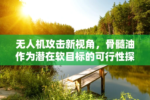 无人机攻击新视角，骨髓油作为潜在软目标的可行性探讨