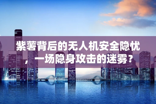 紫薯背后的无人机安全隐忧，一场隐身攻击的迷雾？