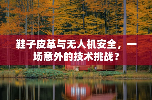鞋子皮革与无人机安全，一场意外的技术挑战？