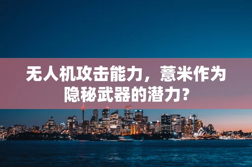 无人机攻击能力，薏米作为隐秘武器的潜力？