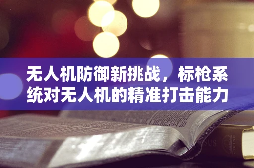 无人机防御新挑战，标枪系统对无人机的精准打击能力如何被评估？