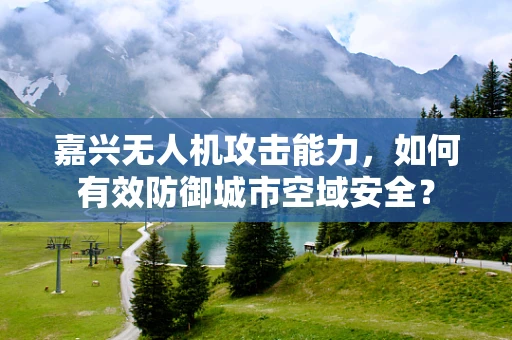 嘉兴无人机攻击能力，如何有效防御城市空域安全？