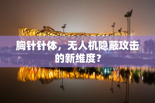 胸针针体，无人机隐蔽攻击的新维度？