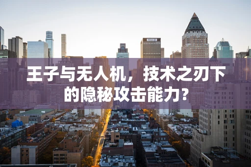 王子与无人机，技术之刃下的隐秘攻击能力？