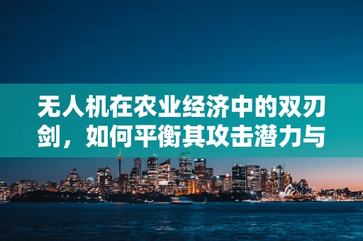 无人机在农业经济中的双刃剑，如何平衡其攻击潜力与农业发展？
