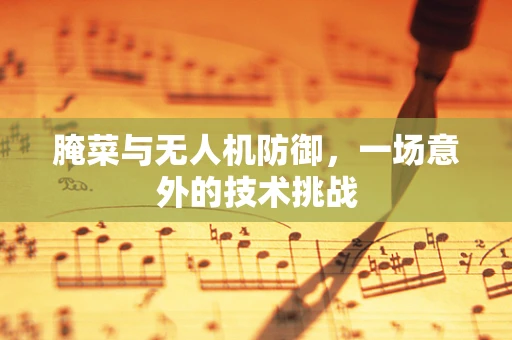 腌菜与无人机防御，一场意外的技术挑战