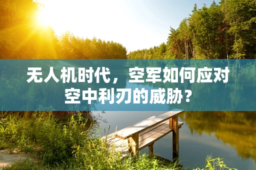 无人机时代，空军如何应对空中利刃的威胁？