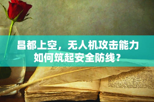 昌都上空，无人机攻击能力如何筑起安全防线？