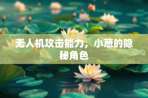 无人机攻击能力，小葱的隐秘角色