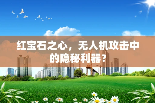 红宝石之心，无人机攻击中的隐秘利器？