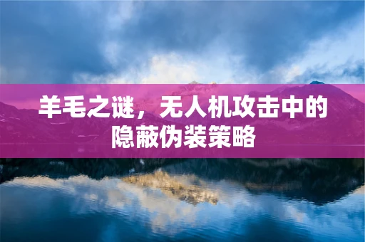 羊毛之谜，无人机攻击中的隐蔽伪装策略