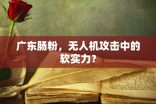 广东肠粉，无人机攻击中的软实力？