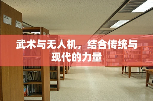 武术与无人机，结合传统与现代的力量