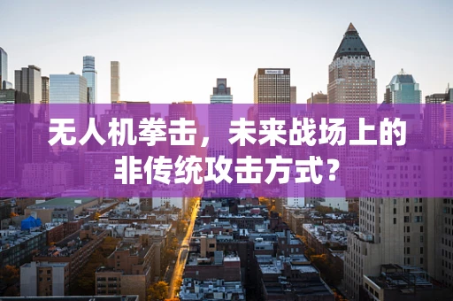 无人机拳击，未来战场上的非传统攻击方式？