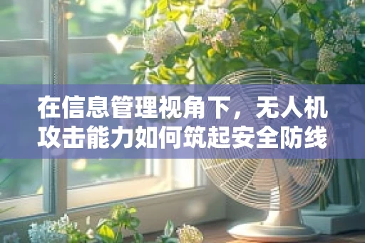 在信息管理视角下，无人机攻击能力如何筑起安全防线？
