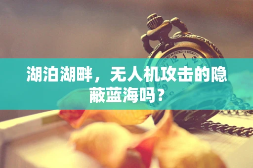 湖泊湖畔，无人机攻击的隐蔽蓝海吗？