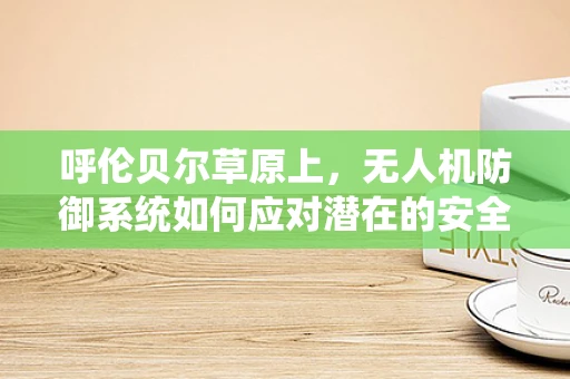 呼伦贝尔草原上，无人机防御系统如何应对潜在的安全威胁？