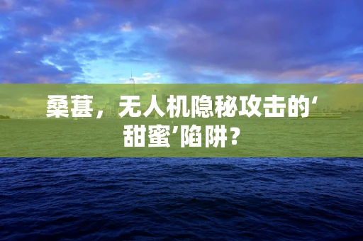 桑葚，无人机隐秘攻击的‘甜蜜’陷阱？