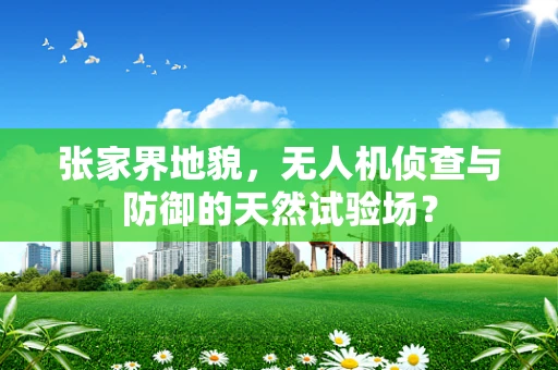 张家界地貌，无人机侦查与防御的天然试验场？