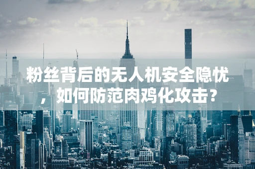 粉丝背后的无人机安全隐忧，如何防范肉鸡化攻击？