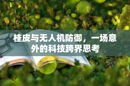 桂皮与无人机防御，一场意外的科技跨界思考