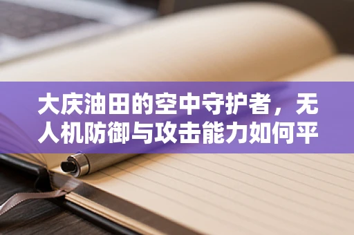 大庆油田的空中守护者，无人机防御与攻击能力如何平衡？