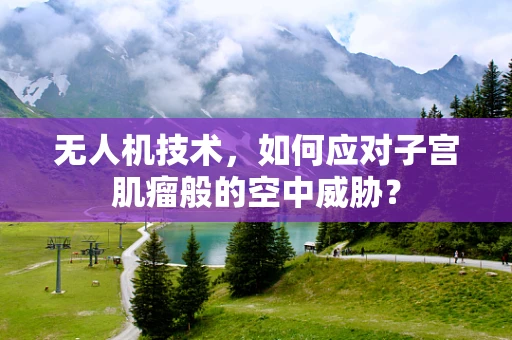 无人机技术，如何应对子宫肌瘤般的空中威胁？